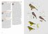 Birds of the Philippines - Desmond Allen 2020 Flexi